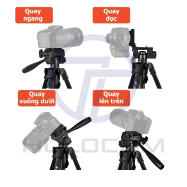 Tripod D60 HOLOCOM Xoay 360 - Chân Máy Ảnh, Quay Phim, Tùy Chỉnh, Giá 219.000 VND 5