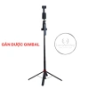 Tripod P185 Gấp Gọn Chụp Hình & Livestream Tiện Lợi - Selfie 299.000₫ 7