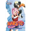 Truyện tranh Naruto Tập 30 - NXB Kim Đồng - Giá ưu đãi 38.000₫, giảm 9.120₫