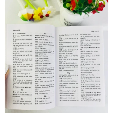 Từ điển Trung Việt bìa mềm 10x16cm - Giá ưu đãi 117.000đ ndbooks