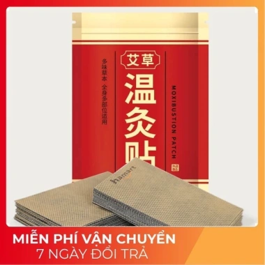 Túi 20 miếng Dán Giảm Đau Xương Khớp Đông Y Cao Dán Ngải Cứu - Giảm Nhức Mỏi Vai Gáy Cột Sống Lưng 13.000đ 8