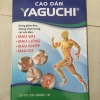 Túi 5 miếng dán thảo dược Yaguchi - Giá 55k, giảm đau vai, lưng, khớp, cơ nhanh 3