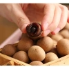 Túi 500g Nhãn Sấy Khô Phúc Kiến - Hương Vị Ngọt Ngào, Giá Ưu Đãi 95.000₫ 2