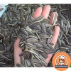 Túi 5kg hạt hướng dương Mỹ Vị – Giòn thơm, bùi béo, ăn vặt Tết, chỉ 430.000₫ 4
