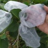 Túi bao ổi 16x18cm lưới mùng - Hàng chính hãng Hoa Mai, giá ưu đãi 75.660 VND