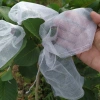 Túi bao ổi 16x18cm lưới mùng - Hàng chính hãng Hoa Mai, giá ưu đãi 75.660 VND 9