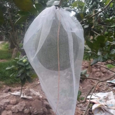 Túi bao trái Bưởi 30x35cm lưới mùng caro - Hàng chính hãng Hoa Mai, Giá giảm 21%