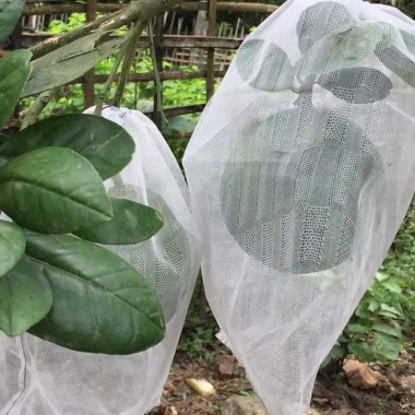 Túi bao trái Bưởi 30x35cm lưới mùng caro - Hàng chính hãng Hoa Mai, Giá giảm 21%