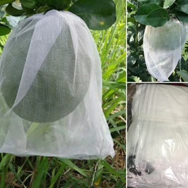 Túi bao trái Bưởi 30x35cm lưới mùng caro - Hàng chính hãng Hoa Mai, Giá giảm 21% 8 Túi bao trái Bưởi 30x35cm lưới mùng caro - Hàng chính hãng Hoa Mai, Giá giảm 21% 8