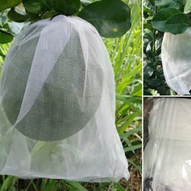 Túi bao trái Bưởi 30x35cm lưới mùng caro - Hàng chính hãng Hoa Mai, Giá giảm 21% 9 Túi bao trái Bưởi 30x35cm lưới mùng caro - Hàng chính hãng Hoa Mai, Giá giảm 21% 9