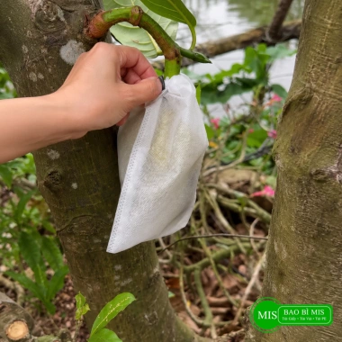 Túi Bọc Bưởi, Ổi, Xoài, Nhãn, Nho – Chống Côn Trùng, Vải Không Dệt, Dây Rút Kẽm 35.000đ 6