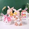 Túi Chia Quà BalloonA - Đựng Bánh Kẹo Sinh Nhật, Cookie, Quà Trung Thu - 8.000₫ 7