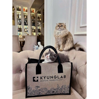 Túi Cói Kyunglab Canvas Lina 36cm - Xách công sở, du lịch, đi biển, khóa kéo, giá 129k 3