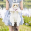 Túi đeo vai Ragdoll Cat Rucks Búp bê mèo sang trọng, giảm giá 23% chỉ 658.953₫ 2
