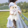Túi đeo vai Ragdoll Cat Rucks Búp bê mèo sang trọng, giảm giá 23% chỉ 658.953₫ 4
