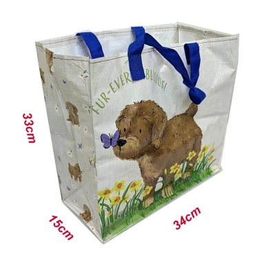 Túi đi chợ xếp gọn nhẹ, chống thấm bạt nhựa dệt dày 35x14x33cm - 29k tx134 5
