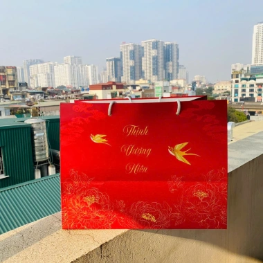 Túi Đựng Giỏ Quà Khay Thuyền Đế Đẹp – Hoa Quả Tươi Lễ Tết 44x25x34cm 20.000₫