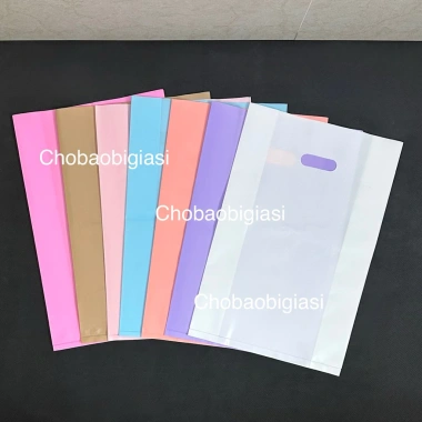 Túi Đựng Quà Tết 1kg PE Bóng Dẻo Dai, Dây Đặn Chắc, Đa Màu Đa Size - Giá 57.979₫ 8