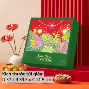 Túi Đựng Quà Xuân Sang Rộn Ràng Giấy I250 Dày Cứng Kèm Dây Quai Xách Giá 15.000đ