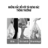 Túi đựng rác quai rút 45x50 cm siêu dai tự phân hủy 75 túi/cuộn Đen giảm giá 38.000₫ 3
