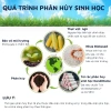 Túi đựng rác tự phân hủy sinh học DandiHome không gây hại môi trường, có dây rút 20 túi/cuộn – 20.000₫ 8