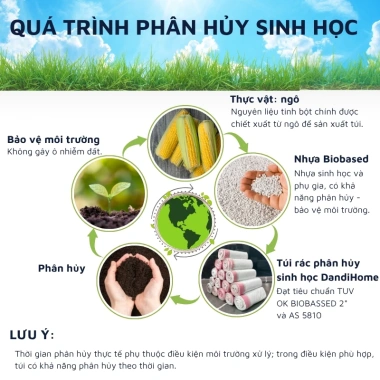 Túi đựng rác tự phân hủy sinh học DandiHome không gây hại môi trường, có dây rút 20 túi/cuộn – 20.000₫ 8 Túi đựng rác tự phân hủy sinh học DandiHome không gây hại môi trường, có dây rút 20 túi/cuộn – 20.000₫ 8