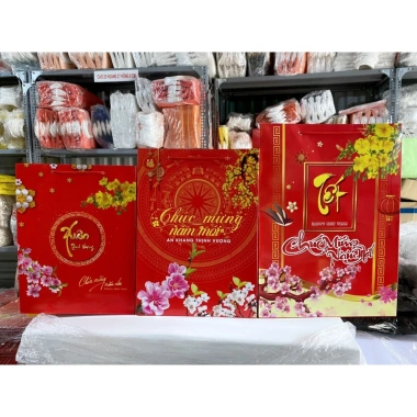 Túi giấy đựng quà Tết 30x40cm - Túi quà tặng, chúc mừng Năm Mới, Giá chỉ 21.105₫