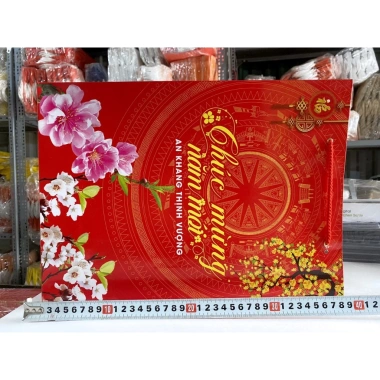Túi giấy đựng quà Tết 30x40cm - Túi quà tặng, chúc mừng Năm Mới, Giá chỉ 21.105₫
