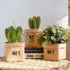 Túi Giấy Kraft YUNAUN Dày Vuông Chống Thấm Giặt Được Tái Sử Dụng Cho Tủ Lạnh 41.910₫ 2
