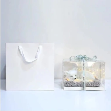 Túi Giấy Vuông Đựng Hoa & Đồ Dùng Kích Thước Đa Dạng, Màu Sắc Đa Dạng 20.000 VND
