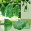 Túi lưới bọc trái cây, hoa quả, quà tặng có dây rút chỉ 24.000 VND VietBuy 2