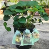 Túi lưới bọc trái cây, hoa quả, quà tặng có dây rút chỉ 24.000 VND VietBuy 3