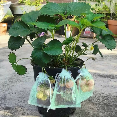 Túi lưới bọc trái cây, hoa quả, quà tặng có dây rút chỉ 24.000 VND VietBuy 3