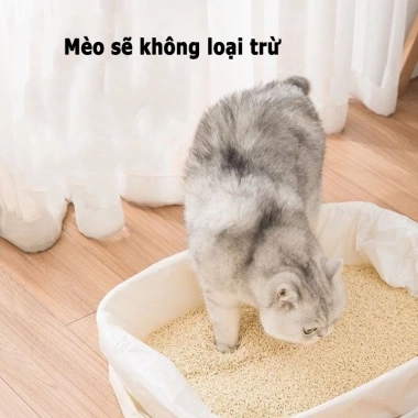 Túi Nylon Hốt Phân Chó Mèo - Cuộn, Chống Mùi, Dễ Thay, Phù Hợp Khay Vệ Sinh 9