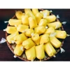Túi PE mỏng dẻo 100g‑1kg, đựng đá viên, nước chấm – Chỉ 18.000, đồng nát thủ đô 4