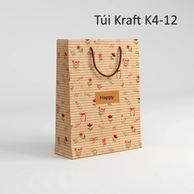 Túi quà quai dây Karaft in tùy chỉnh, xấp 10 cái, giá sỉ 45.000đ, giao nhanh