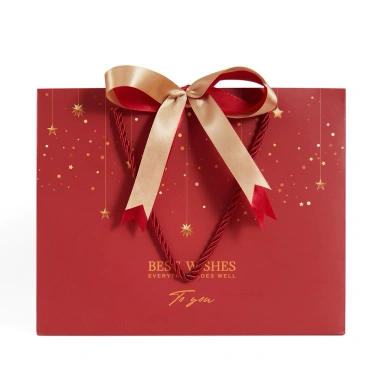 Túi Quà Tặng Giấy Cứng Màu Đỏ Lễ Hội - Đựng Quà Tết & Trung Thu Giá 20.000 5
