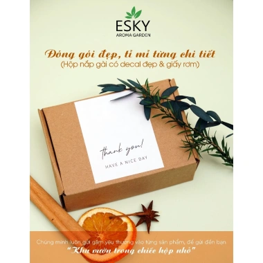 Túi Thơm Hạt Gỗ ESKY Aroma Garden - Khử Mùi Ô tô & Tủ Quần Áo, Giá 48.000 VND 5 Túi Thơm Hạt Gỗ ESKY Aroma Garden - Khử Mùi Ô tô & Tủ Quần Áo, Giá 48.000 VND 5