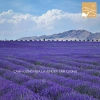 Túi Thơm Hoa Oải Hương Lavender Tân Cương Cao Cấp Không Tạp Chất - Lưu Hương Lâu, Giá Chỉ 22.000₫ 3