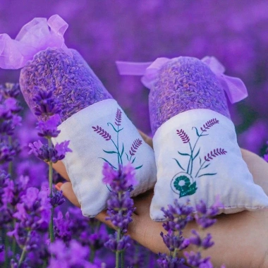 Túi Thơm Hoa Oải Hương Lavender Tân Cương Cao Cấp Không Tạp Chất - Lưu Hương Lâu, Giá Chỉ 22.000₫