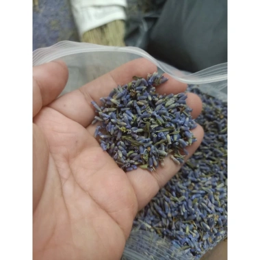 Túi Thơm Oải Hương Lavender Khô - Hương Thơm Tự Nhiên, Giảm Giá Đặc Biệt 4.000₫