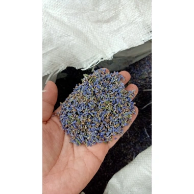 Túi Thơm Oải Hương Lavender Khô - Hương Thơm Tự Nhiên, Giảm Giá Đặc Biệt 4.000₫