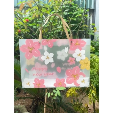 Túi tone trong suốt đựng quà lễ tết - Siêu nhẹ, đẹp sang, giảm còn 18.000₫ 7