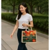 Túi Tote Nữ Hoa Sen Đỏ Canvas Size M - Đi biển du lịch, chỉ 129.630₫ 2