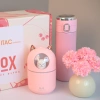 Túi Xách Nữ Đeo Chéo IV Pink Sang Trọng - Quà Tặng 8/3 Cao Cấp, Giá 199k 5