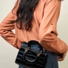 Túi Xách Nữ Lady Diana Đeo Chéo Vai - Thiết Kế Huyền Thoại Vân Da Cá Sấu Dập Nổi Size 18 - Giá 975.000 VND