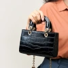 Túi Xách Nữ Lady Diana Đeo Chéo Vai - Thiết Kế Huyền Thoại Vân Da Cá Sấu Dập Nổi Size 18 - Giá 975.000 VND 3