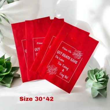 Túi Xoài 200gr Size Lớn Thượng Phẩm Yến Sào Giá 21.800đ Giảm Giá Đặc Biệt