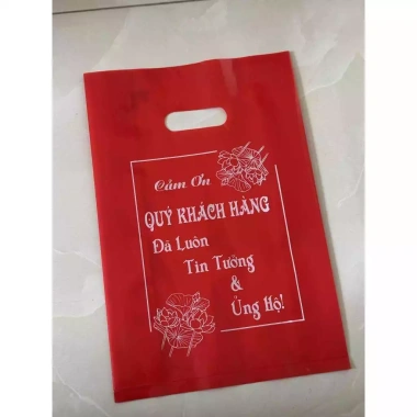 Túi Xoài 200gr Size Lớn Thượng Phẩm Yến Sào Giá 21.800đ Giảm Giá Đặc Biệt 10