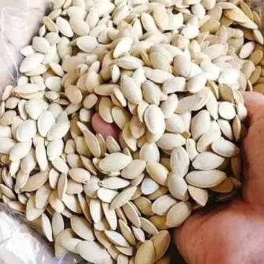Túi zip 100g hạt bí to, mẩy, chắc - Giá chỉ 25.700₫, bán mùa Tết
